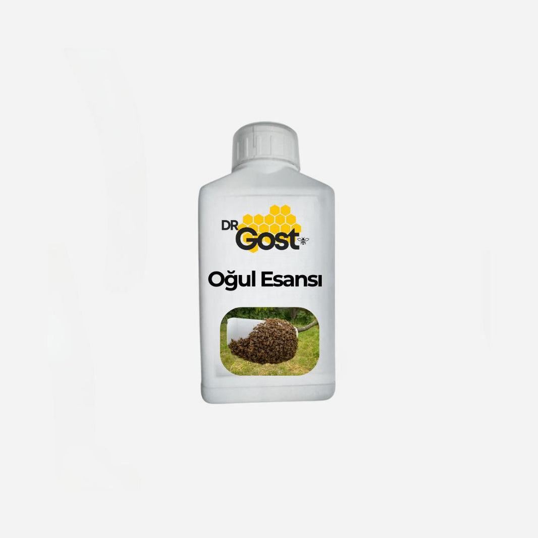 Oğul Esansı 250 ML (Konsantre)
