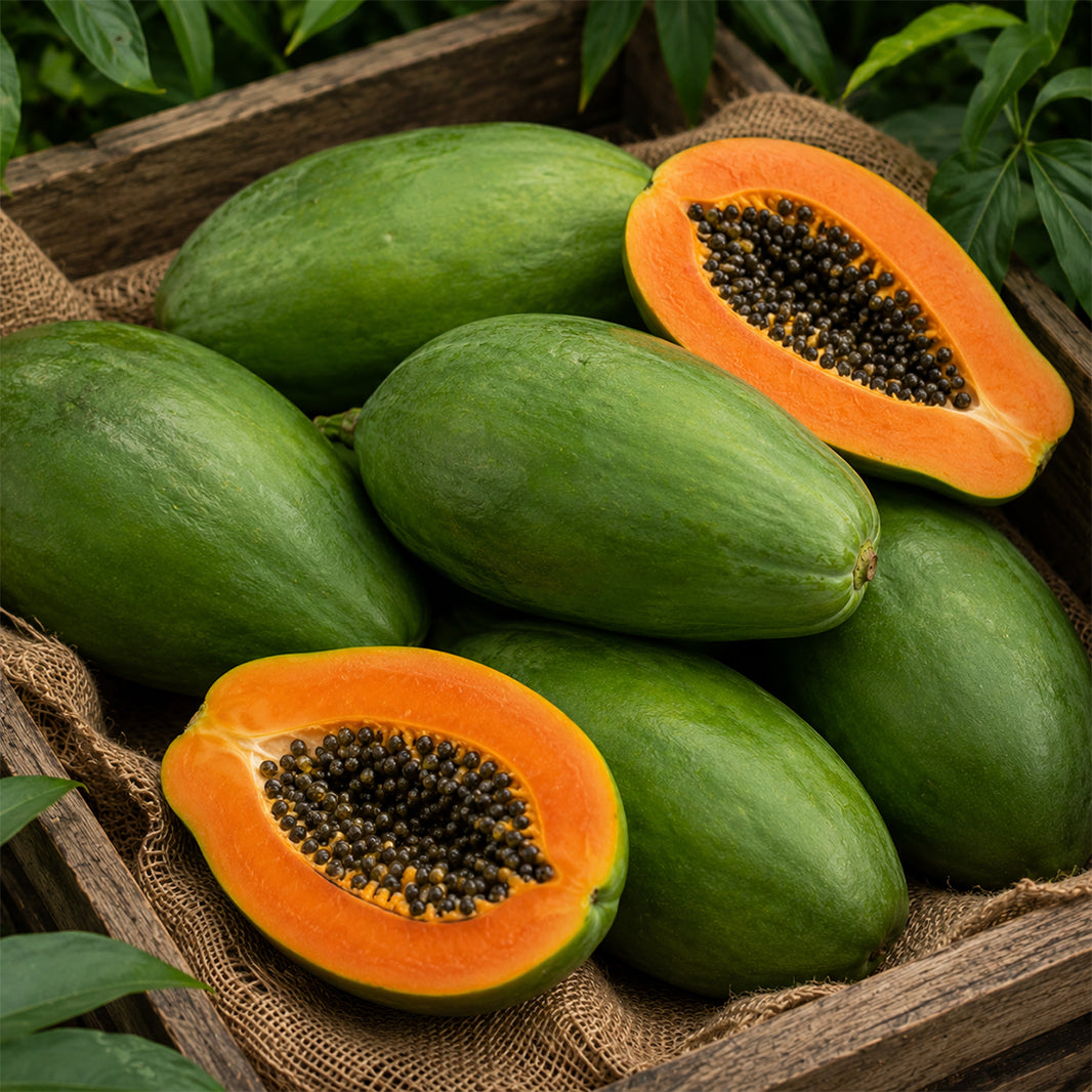 Yeşil Papaya