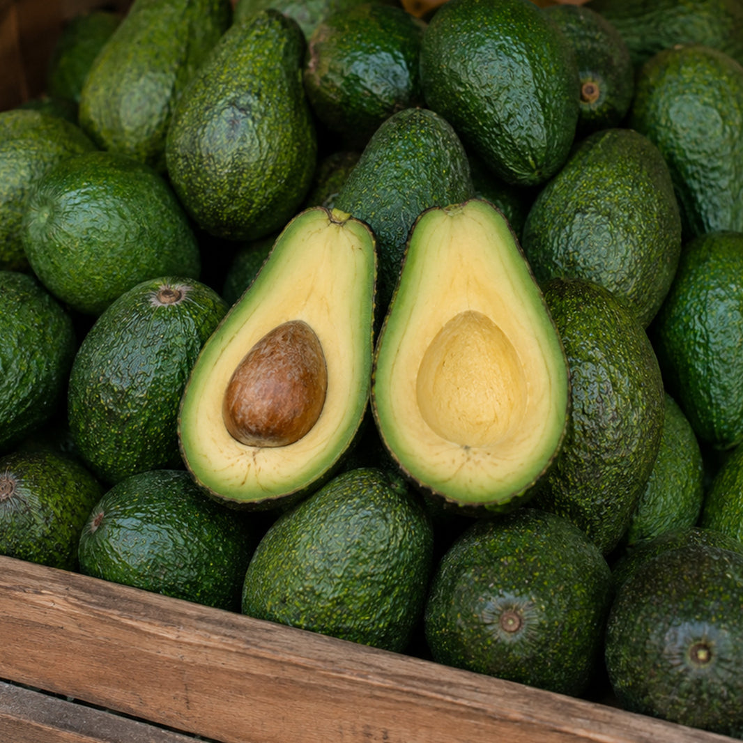 Fuerte Cinsi 🥑 Avokada