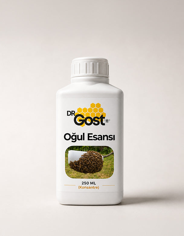 Oğul Esansı 250 ML (Konsantre)